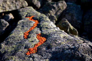 Landart mit Vogelbeeren und Granit