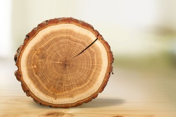 Round old wood slice on desk