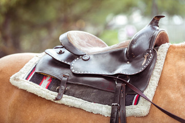 The saddle is on the back of a red horse.