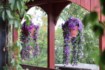 pots of flowers are suspended in the opening of the window of the wooden old veranda.
