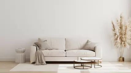 Foto op Plexiglas Scandinavian style living room interior mock up, modern living room interior background, beige sofa and pampas grass, 3d rendering © Oleksandr