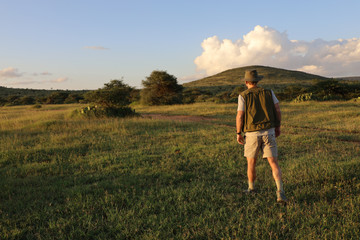 Man walking through grassland at sunset in Kenya, Africa