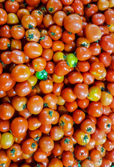 Fresh tomatoes, ingredient in many dishes, sauce, salad and drinks. 