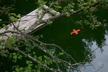 Kreuz aus Vogelbeeren im Wasser