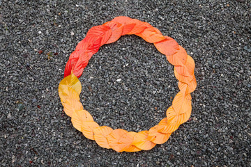 Kreis aus bunten Blättern im Herbst in orange und rot