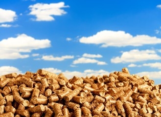 Fototapeta na wymiar Wood chip pellets on the sky background