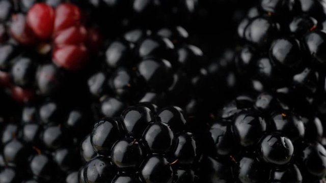 Black berry close up. Fresh raw summer fruit super macro turning.