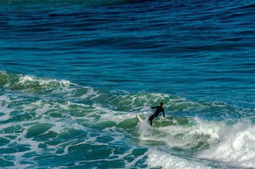 Obraz premium Leaning Back