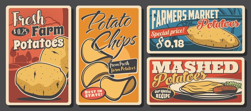 Potato meals and food retro posters. Vector raw, mashed and potato chips snack, farmer market vegetable product. Cafe, restaurant or bistro recipe assortment, vintage promo banners with price tags