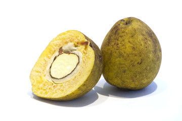 Bacuri, edible vegetable from northeastern Brazil