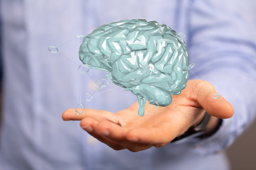 human brain imagination learning and mind