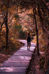 Obraz premium Jardín