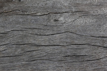 枕木に使われた古い木材	