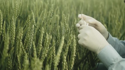 Syringe with needle, genetically modified foodstuff concept, middle shot - Powered by Adobe