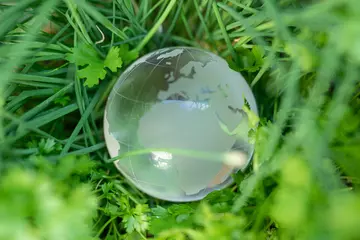 Foto op Canvas earth green concept glass sphere. © vegefox.com