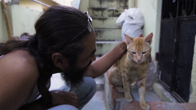 Beard Man with Indian billi breed also known as Indian common cat