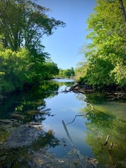 river in the forest