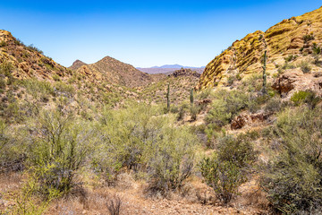 Apache Trail Scenic Drive View