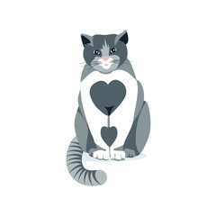 Obraz premium Cute gray and white cat pet. Front view of sitting adorable domestic animal cartoon vector illustration isolated on white background