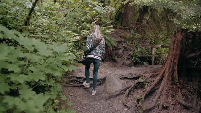 Slow motion shot following a female photographer exploring a trail in Vancouver Lynn valley, Canada