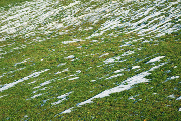雪　草　冬　素材