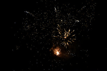 Fireworks Exploding in the Night Sky