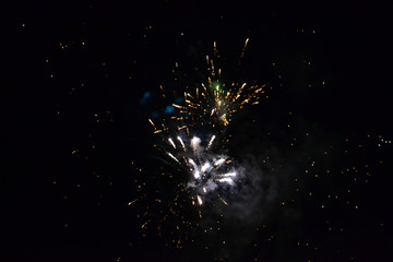 Fireworks Exploding in the Night Sky