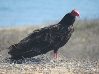 SALINAS, ECUADOR