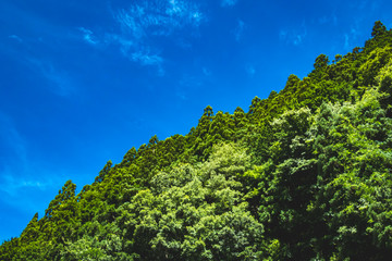 Fototapeta premium 山と空