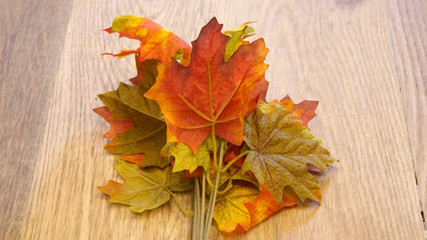 Obraz premium autumn leaves on wooden background