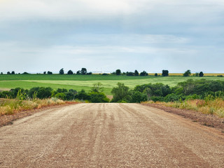 Fototapeta na wymiar Asphalt road in countryside. Natural skyline with green of landscape