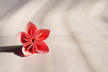 beautiful Origami flower blossom. paper flower on textured background. copy space for text concept