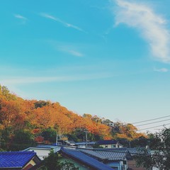 Fototapeta premium なにげない日の風景 空