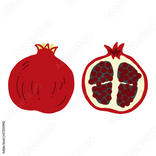 ザクロの手書きイラストアイコン Pomegranate Flat Illustration Vector Icon Poster 七実 加藤