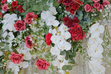 wedding flower backdrop background, colorful background, fresh rose, bunch of flower
