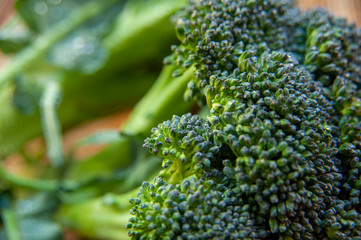 新鮮な採れたてブロッコリー