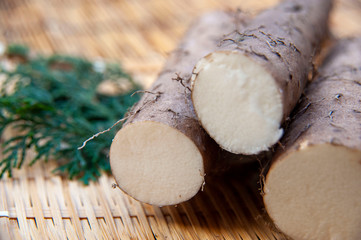 鳥取県の特産品、長芋の王様ねばりっこ