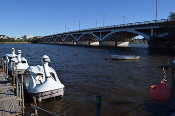 手賀沼（てがぬま）／ 千葉県にある手賀沼は、県北部、柏市、我孫子市、白井市、印西市にまたがる利根川水系の湖沼です。北の水域を手賀沼（上沼）、南の水域を下手賀沼（下沼）と言われています。