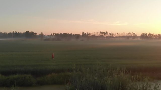 Daydreamer sleepwalking at rural foggy Latvia fields at golden hour