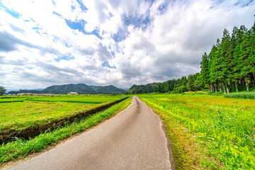 【日本の里山】福島県 会津の風景