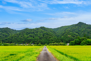 Fototapeta na wymiar 【日本の里山】福島県 会津の風景