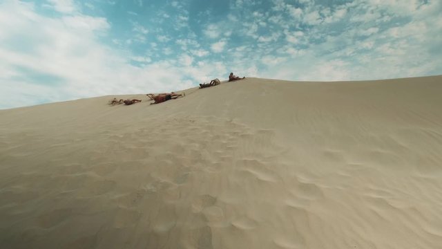 Group of happy friends rolling down the sand dune on sea beach at vacation