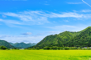 Fototapeta na wymiar 【日本の里山】福島県 会津の風景