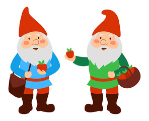 Garden gnomes with apples in their hands. Apple picking. Isolated on a white background. Cartoon style. Vector illustration.