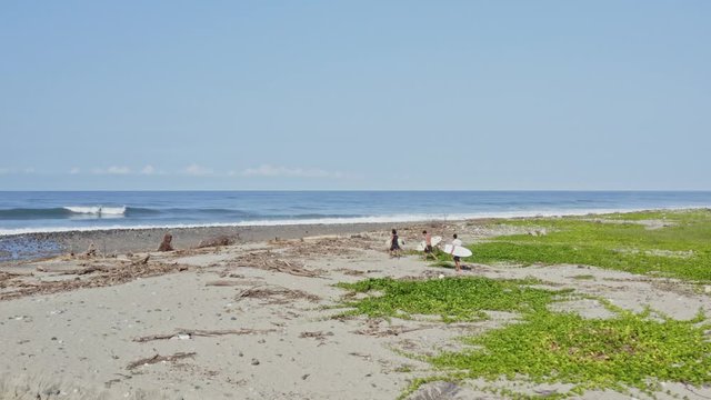 Aerial: surfers exploring remote beach for perfect surfing spot, rear follow view