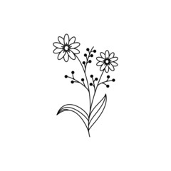 flower vector collection. Free Vectors
Background.Line logo flowers.