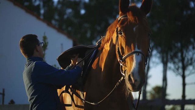 Slow motion of a rider preparing the horses saddle for a horse ride on sunset.