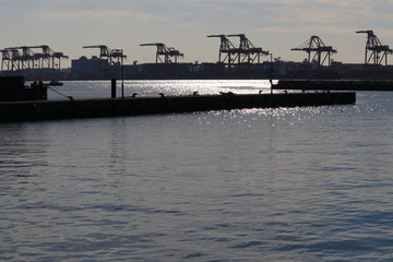 品川ふ頭のクレーン