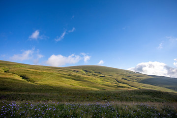 Blooming meadows in the summer landscapes of the caucasus mountains in Russia