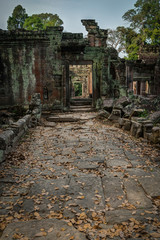 Fototapeta na wymiar Temples of the Cambodia Jungle